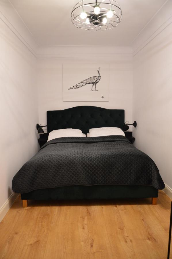 Apartamenty Szeroka 32 Stary Toruń Exteriér fotografie